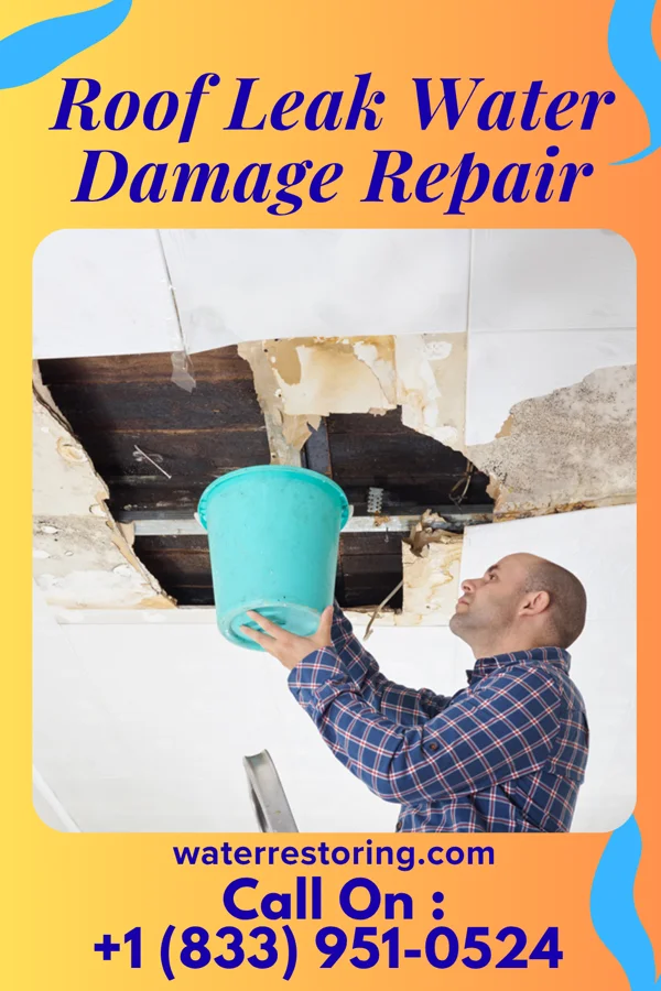 Roof Leak Water Damage Repair in Jacksonville Beach, FL